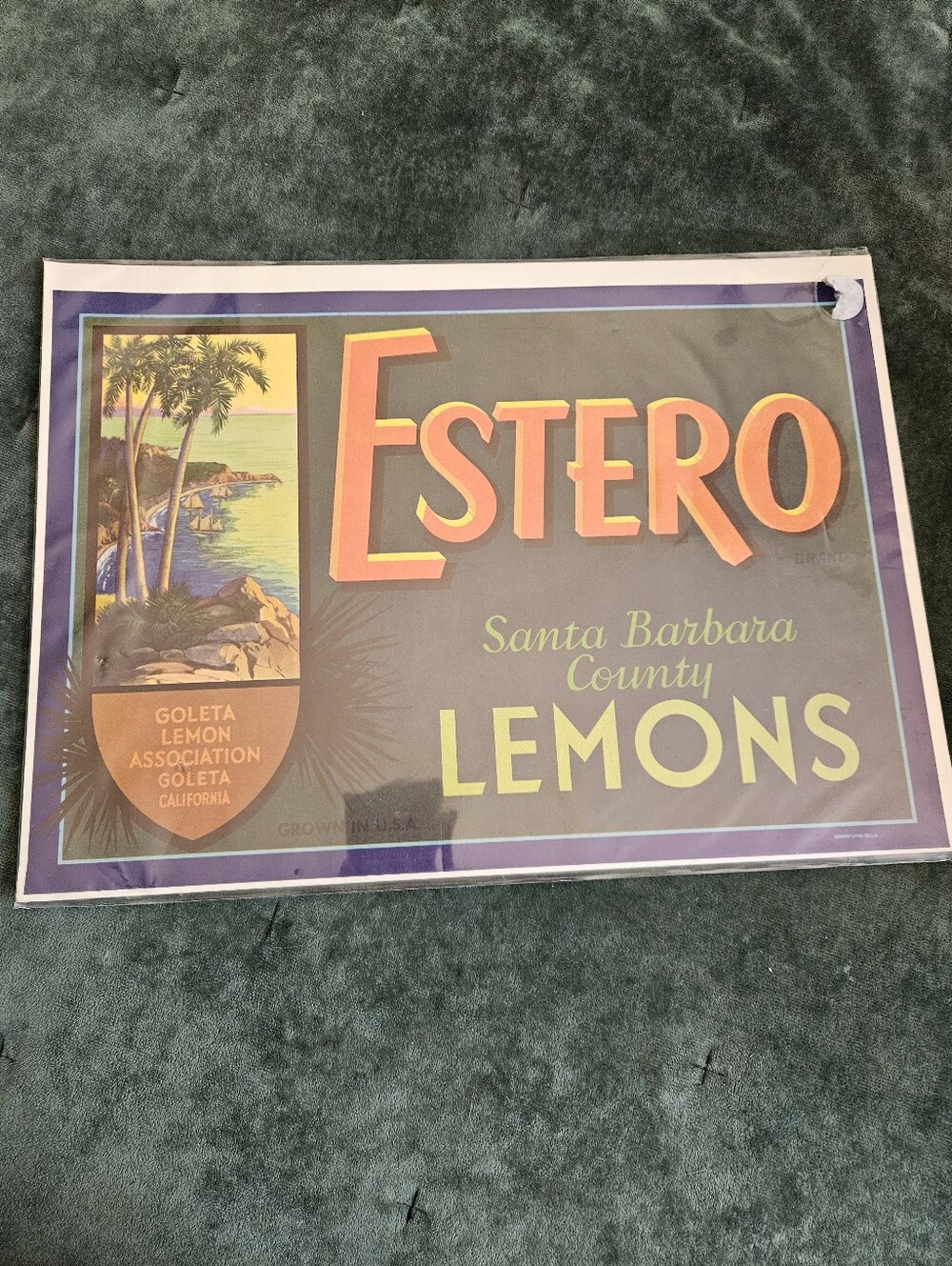 Vintage Original Sunkist Orange Crate Label